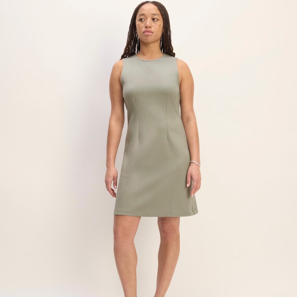 New Everlane The Dream '90s Shift Dress